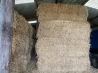 18 SQUARE BALES OF WINTER BARLEY STRAW - BIDS PER BALE - 2