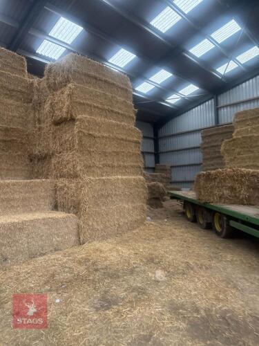 17 SQUARE BALES OF 2025 BARLEY STRAW - BIDS PER BALE