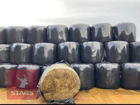50 ROUND BALES OF 2025 SILAGE - BIDS PER BALE