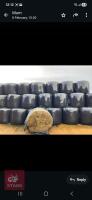 50 ROUND BALES OF 2025 SILAGE - BIDS PER BALE - 3