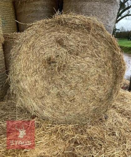 50 ROUND BALES OF 2025 HAY - BIDS PER BALE