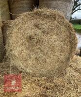 50 ROUND BALES OF 2025 HAY - BIDS PER BALE