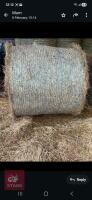 50 ROUND BALES OF 2025 HAY - BIDS PER BALE - 3