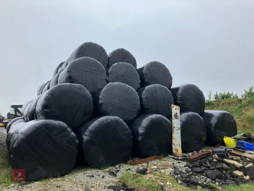 25 ROUND BALES OF 2ND CUT 2025 HAYLAGE - BIDS PER BALE
