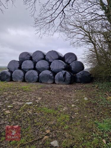 40 ROUND BALES OF 1ST CUT 2025 SILAGE - BIDS PER BALE