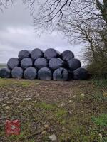 40 ROUND BALES OF 1ST CUT 2025 SILAGE - BIDS PER BALE