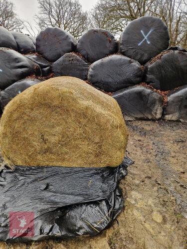 60 ROUND BALES OF 1ST CUT 2025 SILAGE - BIDS PER BALE