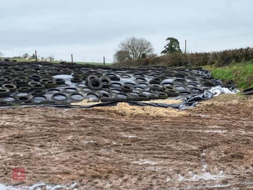 200 TONNE OF 2025 CLAMP SILAGE - BIDS PER TONNE