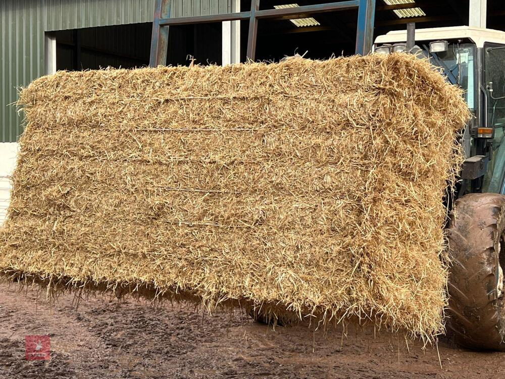 25 BALES OF 2025 BARLEY STRAW - BIDS PER BALE