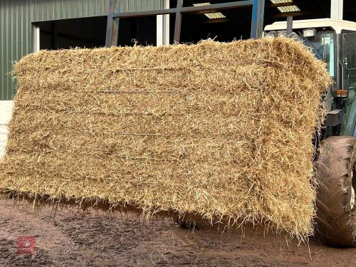 25 BALES OF 2025 BARLEY STRAW - BIDS PER BALE