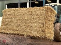 25 BALES OF 2025 BARLEY STRAW - BIDS PER BALE
