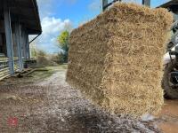 25 BALES OF 2025 BARLEY STRAW - BIDS PER BALE - 3