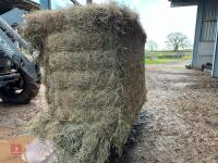 35 BALES OF 2025 MEADOW HAY - BIDS PER BALE - 3