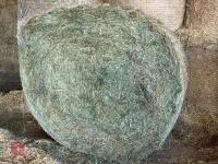 15 ROUND BALES OF 2025 MEADOW HAY - BIDS PER BALE - 2