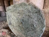 15 ROUND BALES OF 2025 MEADOW HAY - BIDS PER BALE - 3