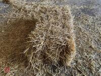 50 CONVENTIONAL BALES OF STRAW - BIDS FOR THE GROUP
