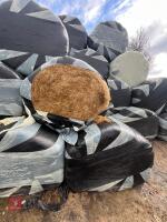25 ROUND BALES OF 2ND CUT 2025 SILAGE - BIDS PER BALE - 2