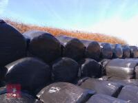 80 ROUND BALES OF 2023 SILAGE - BIDS PER BALE