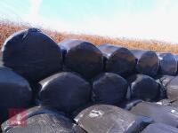 80 ROUND BALES OF 2023 SILAGE - BIDS PER BALE - 3