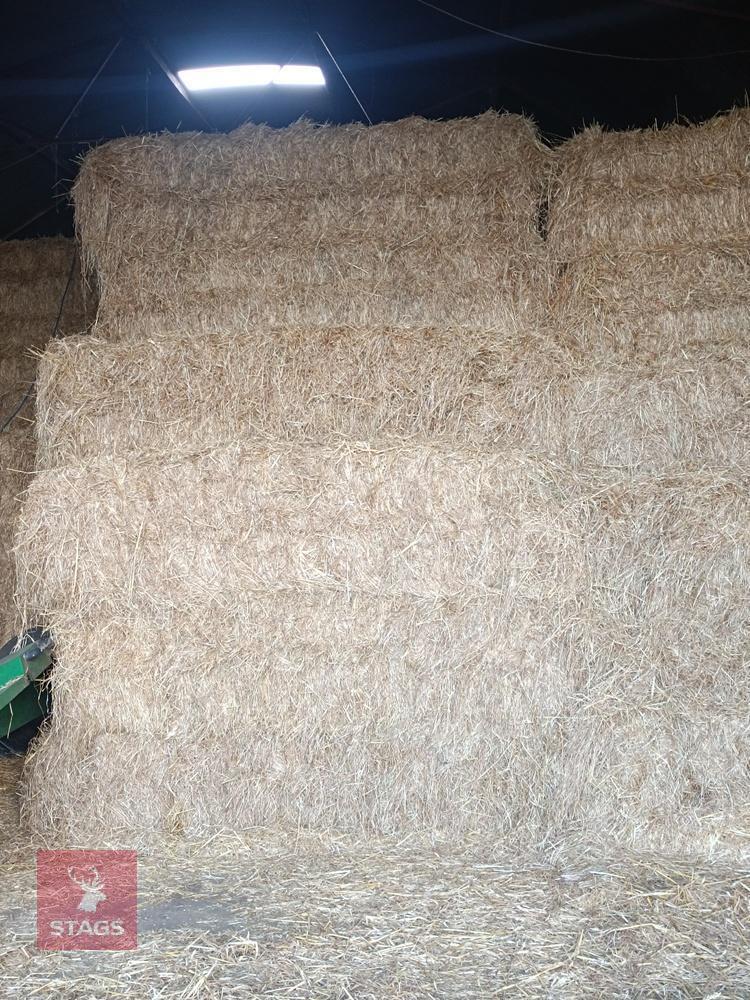 90 SQUARE BALES OF 2025 HAY - BIDS PER BALE