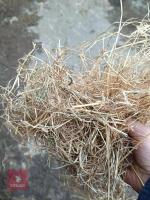 90 SQUARE BALES OF 2025 HAY - BIDS PER BALE - 4