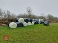 48 ROUND BALES OF 2025 SILAGE - BIDS PER BALE