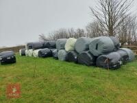 48 ROUND BALES OF 2025 SILAGE - BIDS PER BALE - 2
