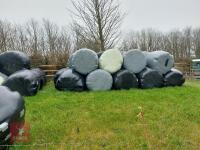 48 ROUND BALES OF 2025 SILAGE - BIDS PER BALE - 4