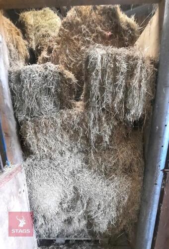 50 CONVENTIONAL BALES OF 2025 HAY - BIDS FOR THE GROUP
