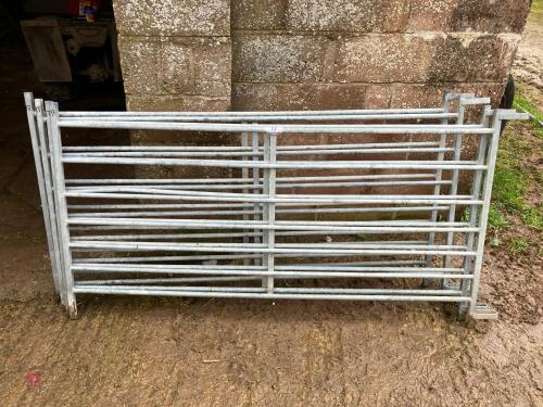 4 GALV 6' IAE SHEEP HURDLES (17)