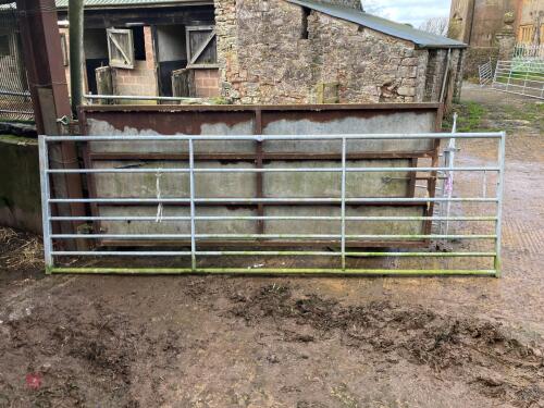 IAE 12' GALV GATE (26)