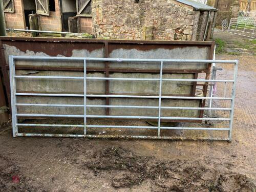 IAE 10' GALV GATE (25)