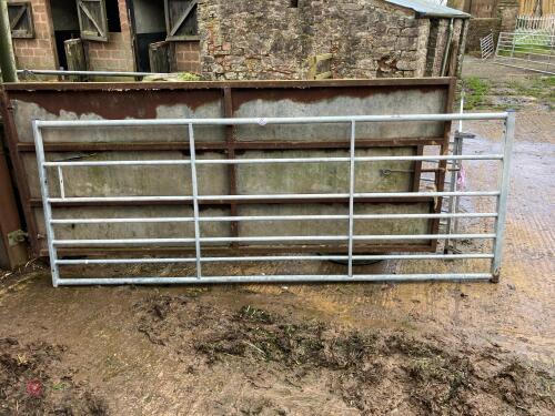 IAE 10' GALV GATE (22)
