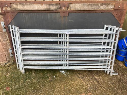 5 GALV 6' IAE SHEEP HURDLES (15)