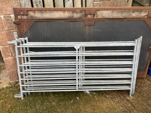 4 GALV 6' IAE SHEEP HURDLES (14)