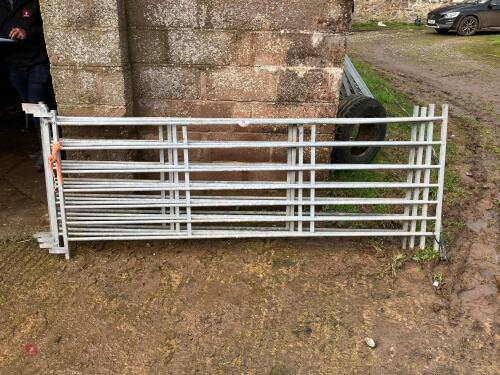 4 GALV 8' IAE SHEEP HURDLES (10)