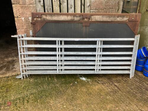 4 GALV 8' IAE SHEEP HURDLES (7)