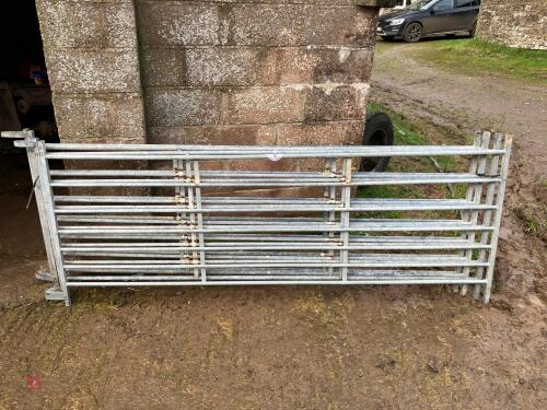 5 GALV 8' IAE SHEEP HURDLES (12)