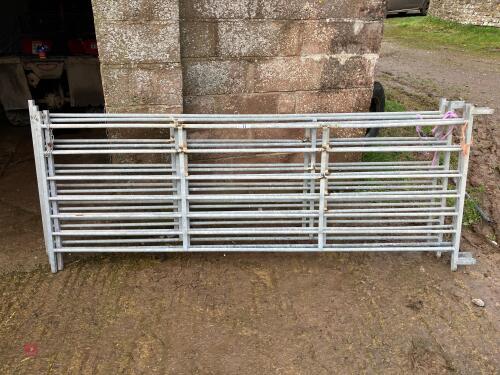 4 GALV 8' IAE SHEEP HURDLES (11)