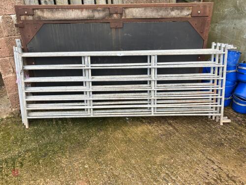 4 GALV 8' IAE SHEEP HURDLES (4)