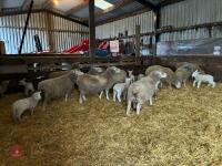 9 DORSET COUPLES - BIDS PER OUTFIT