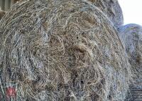 40 ROUND BALES 2024 HAY - BIDS PER BALE - 6