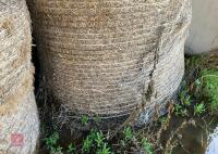 40 ROUND BALES 2024 HAY - BIDS PER BALE - 8