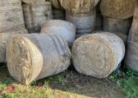 40 ROUND BALES 2024 HAY - BIDS PER BALE - 13