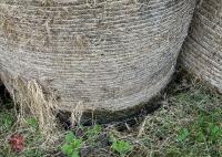 36 ROUND BALES OF 2024 HAY - BIDS PER BALE - 5