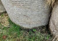 36 ROUND BALES OF 2024 HAY - BIDS PER BALE - 6