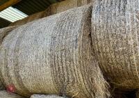 36 ROUND BALES OF 2024 HAY - BIDS PER BALE - 11