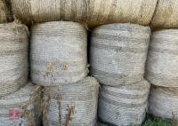 36 ROUND BALES OF 2024 HAY - BIDS PER BALE - 13