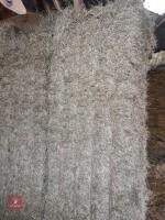 35 SQUARE BALES OF 2025 HAY - BIDS PER BALE - 3