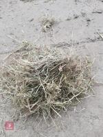 35 SQUARE BALES OF 2025 HAY - BIDS PER BALE - 4